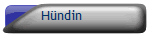 H�ndin